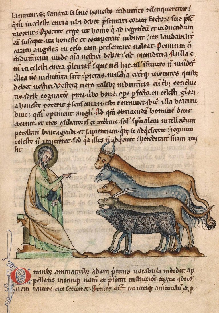 Editions Textuel -  03_ANIMAUX ET HUMAINS.jpg