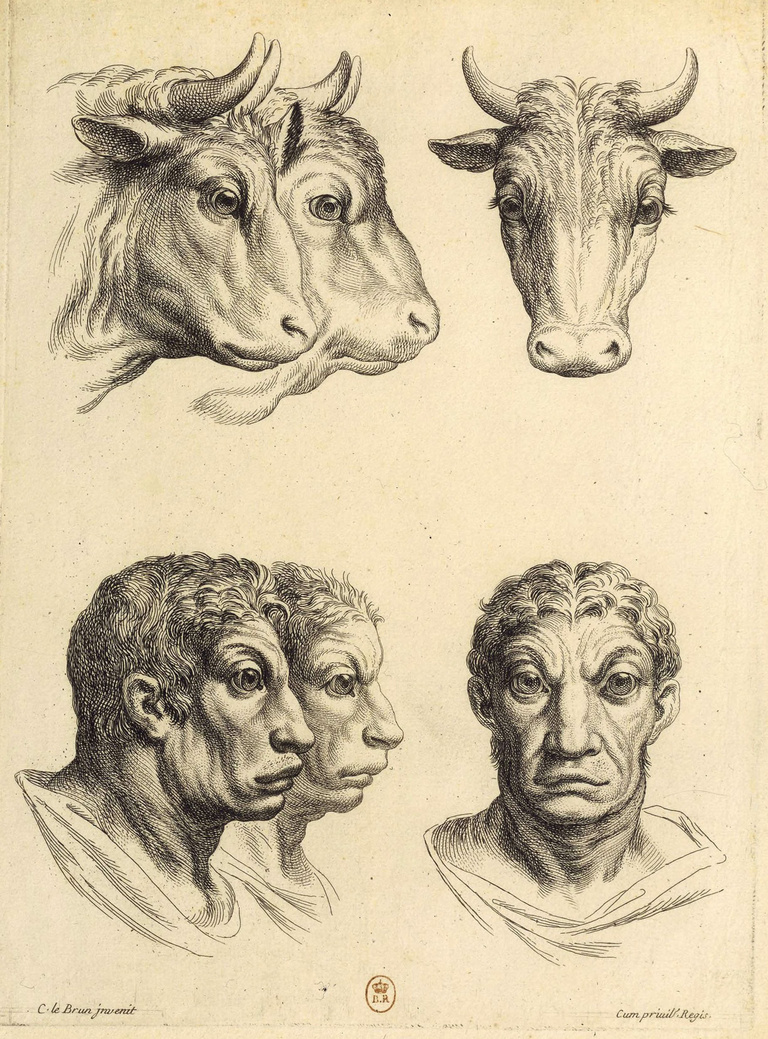Editions Textuel -  09_ANIMAUX ET HUMAINS.jpg