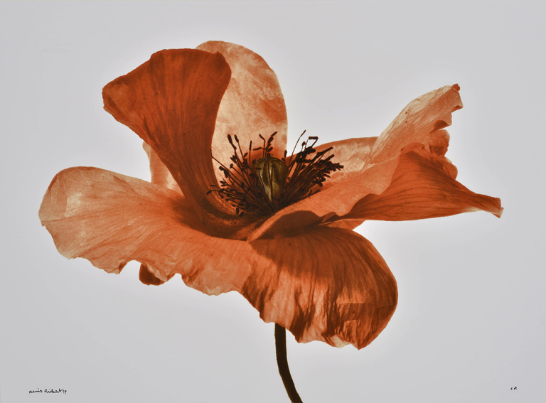 Editions Textuel -  Flower Power_2_Brihat.jpg
