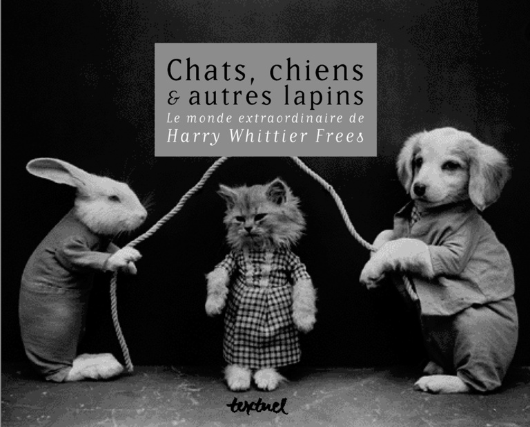 Editions Textuel -  Chats, chiens et autres lapins