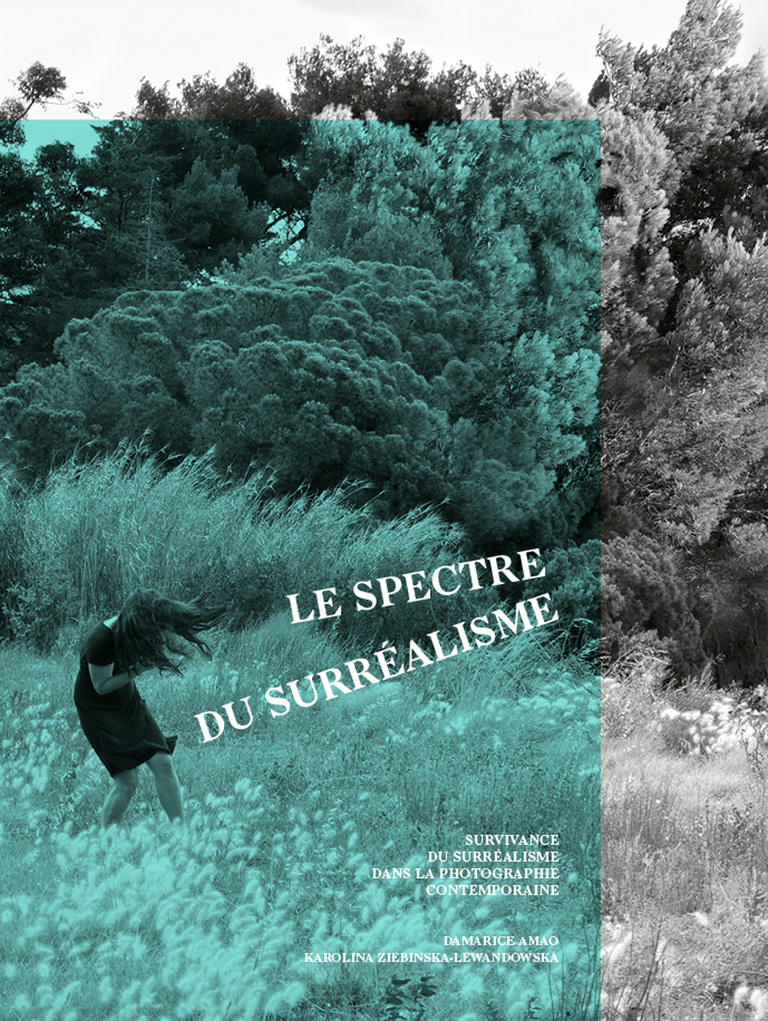 Editions Textuel -  Le Spectre du surréalisme