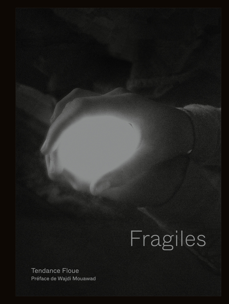 Editions Textuel -  Fragiles