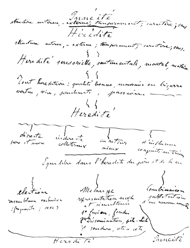 Editions Textuel -  ok-manuscritsZola-im4.jpg